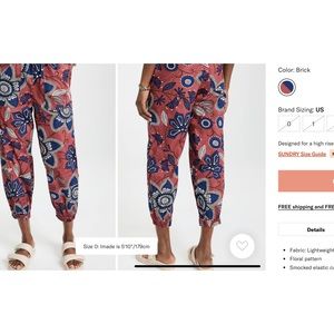 Sundry floral pants in brick, size 2